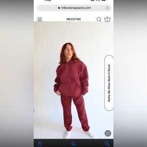 Chic Women's Maroon Pantsuit by